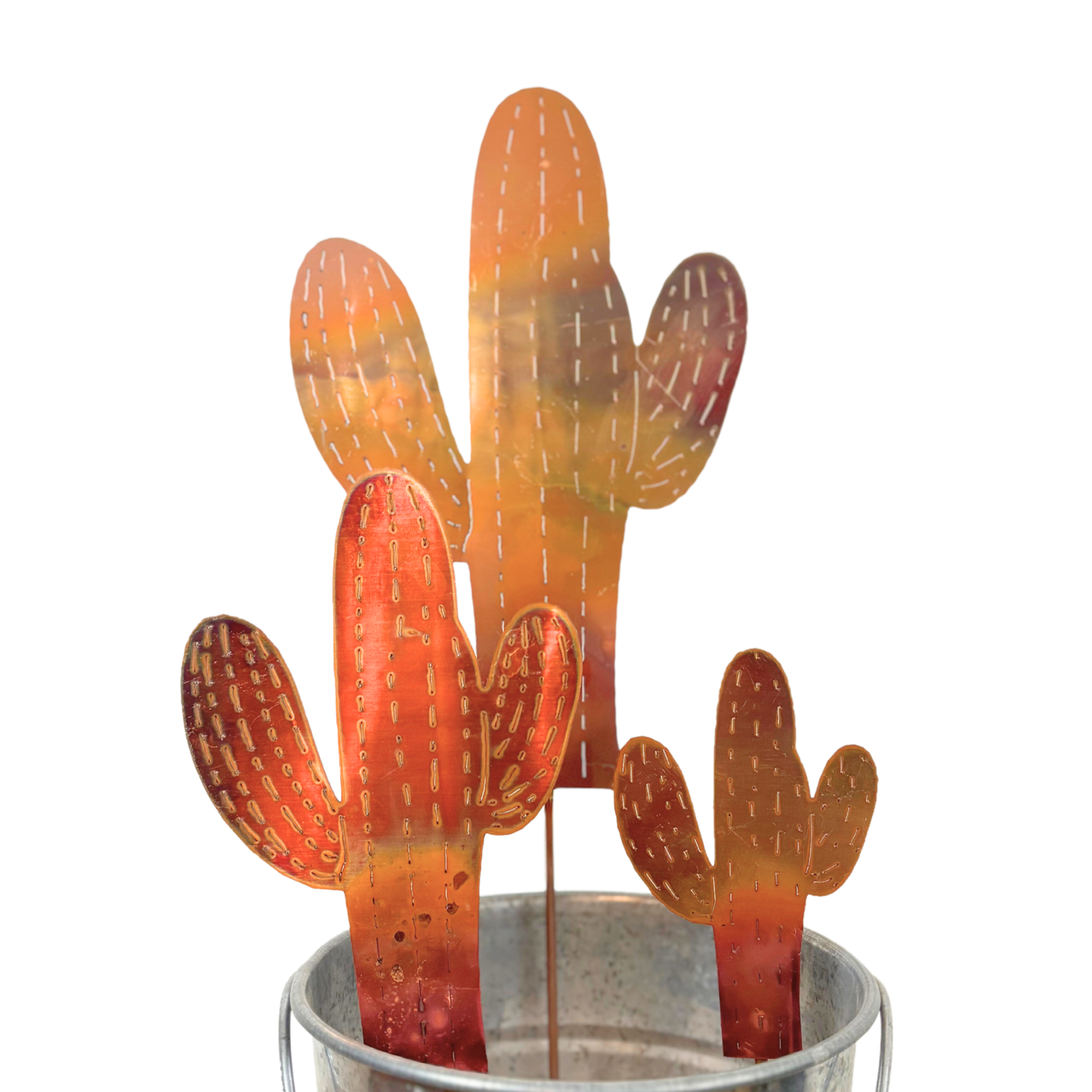 Natural Copper Lined Cactus
