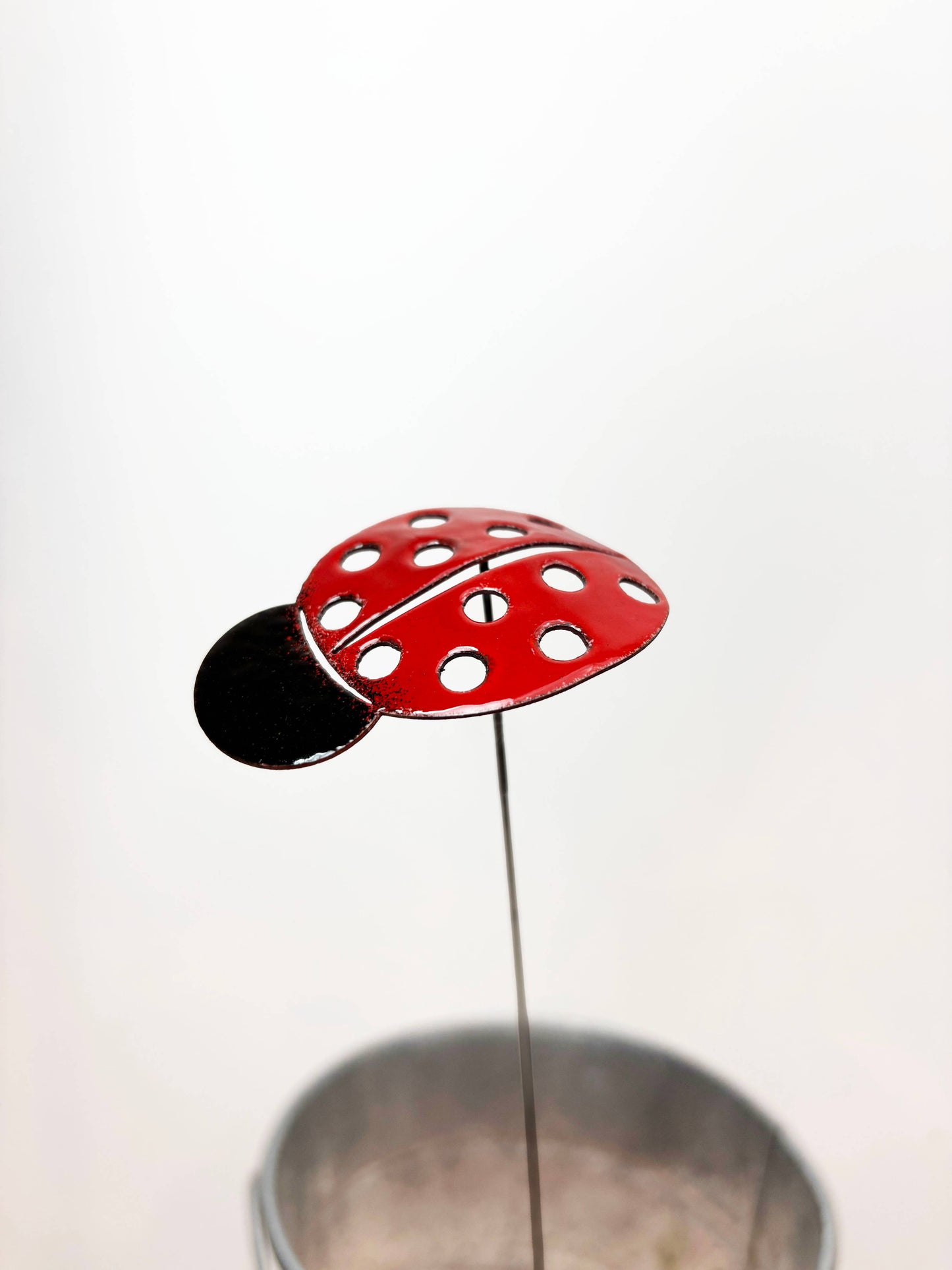 Copper Enamel Ladybug