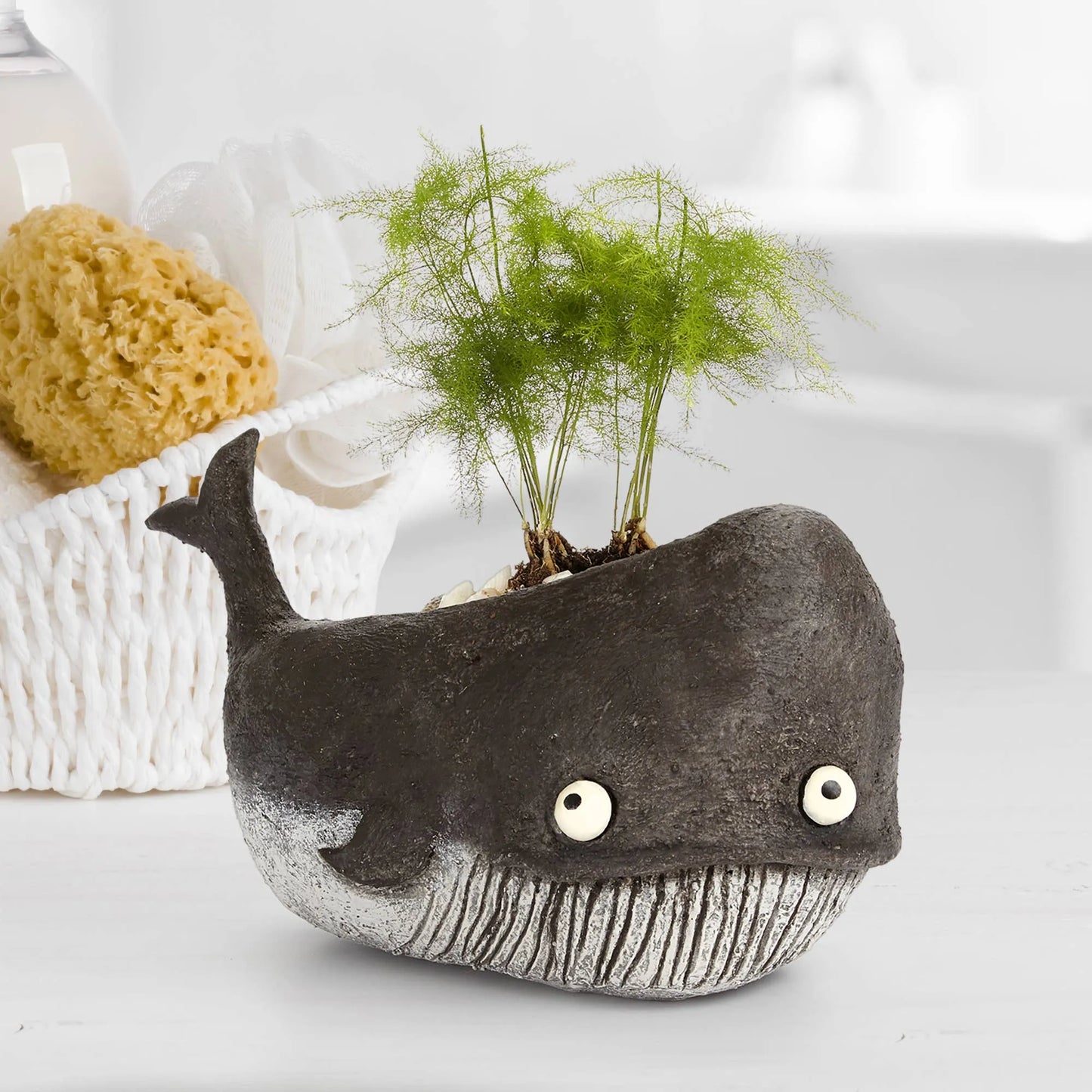 Goliath Whale Planter