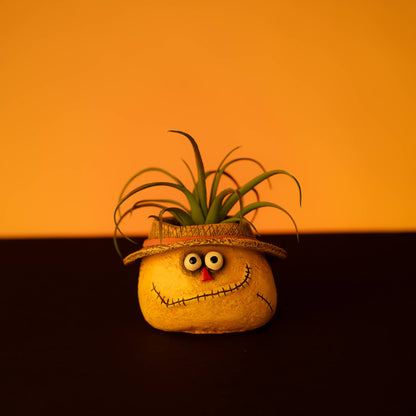 Strawman Dan Scarecrow Blobhouse Planter