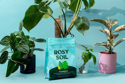 4 qt Organic potting soil mix, indoor, houseplant & herbs