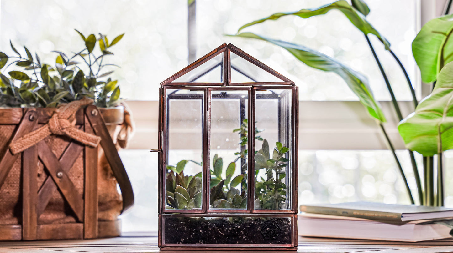 Greenhouse Glass and Metal Terrarium Bronze 10 x 7 x 10