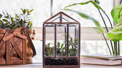 Greenhouse Glass and Metal Terrarium Bronze 10 x 7 x 10