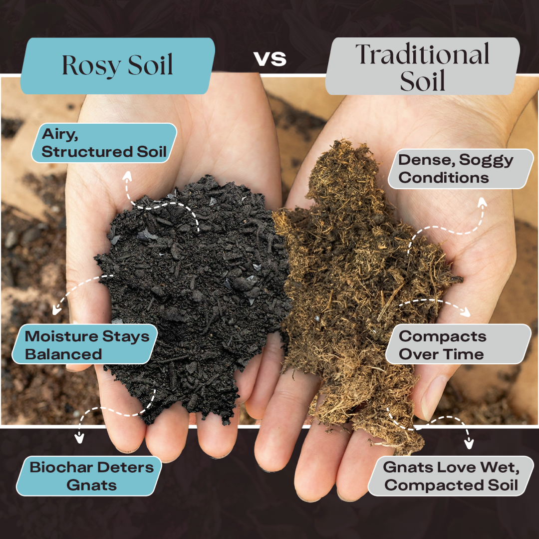 4 qt. Rosy Soil Houseplant Soil Mix