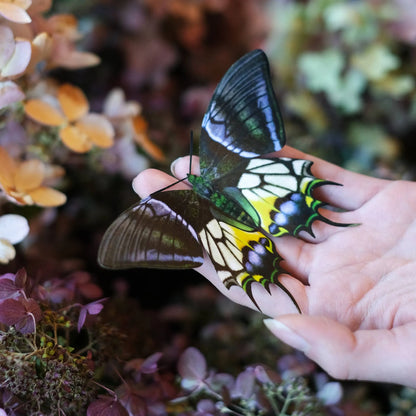 'Malachite' Butterfly 3 piece Set