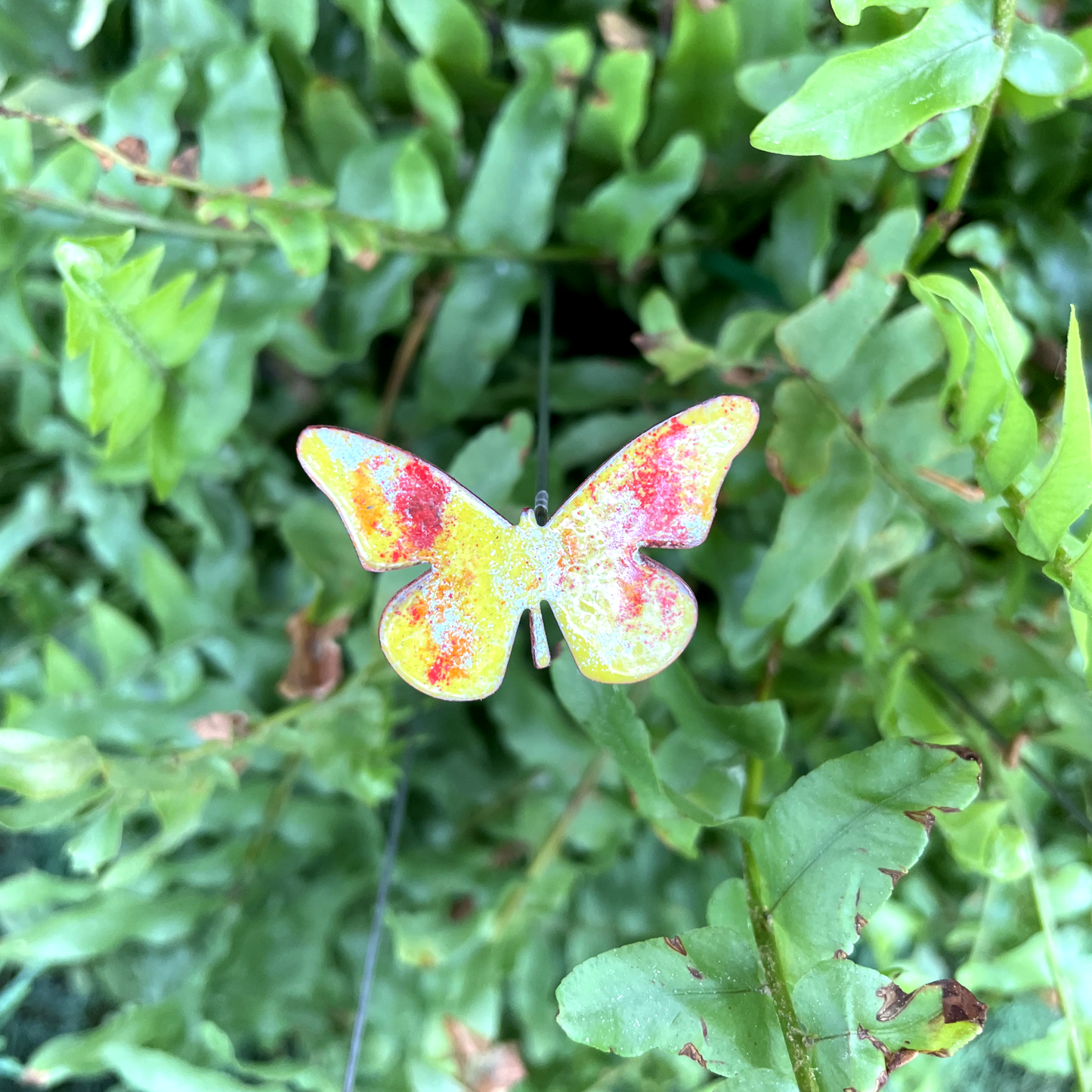 Copper Enamel Butterfly