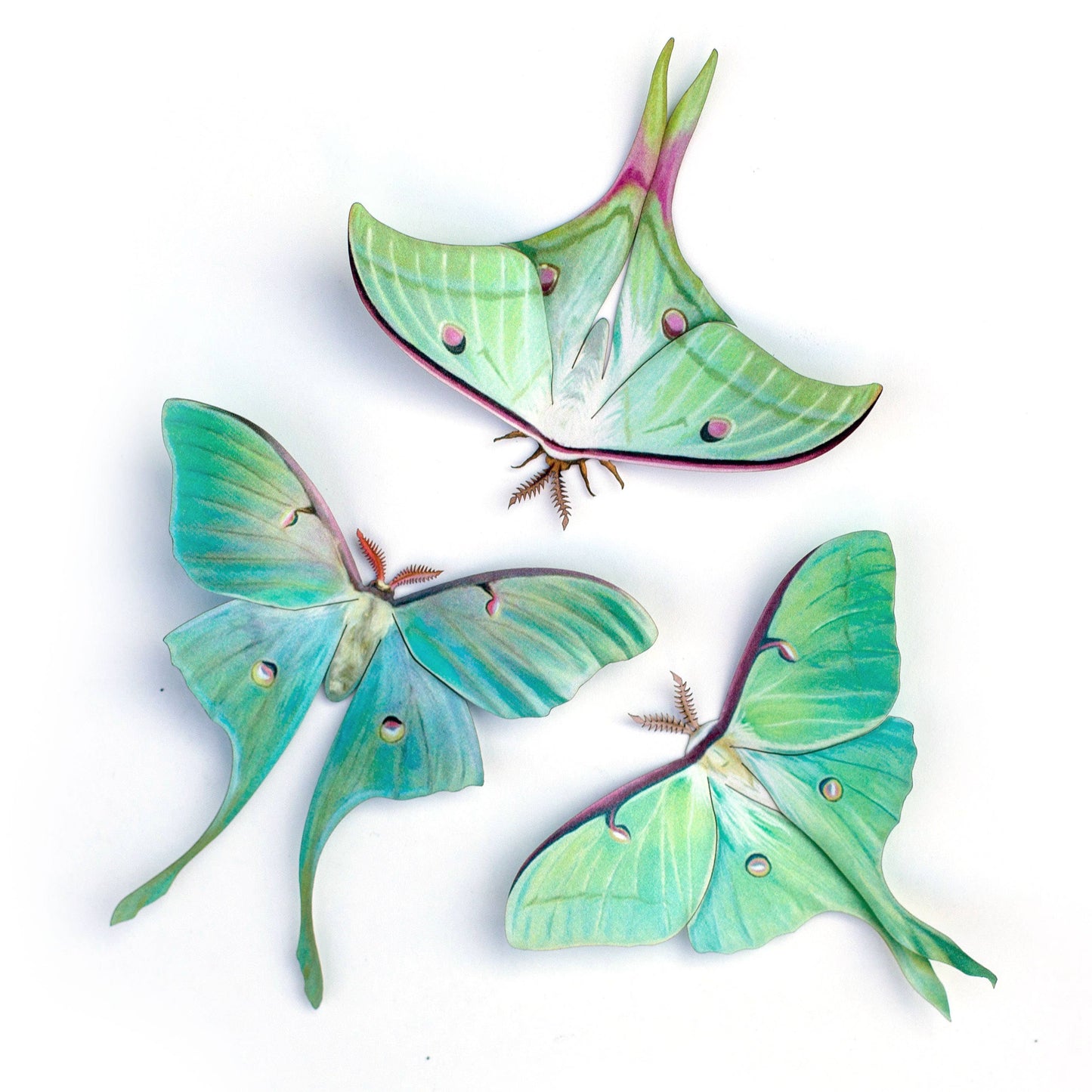Moonwake Luna Moth Collection - 3 Piece Set