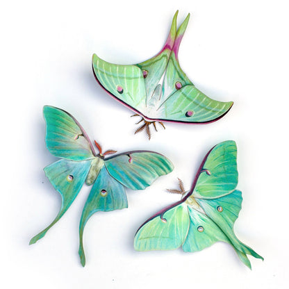 Moonwake Luna Moth Collection - 3 Piece Set