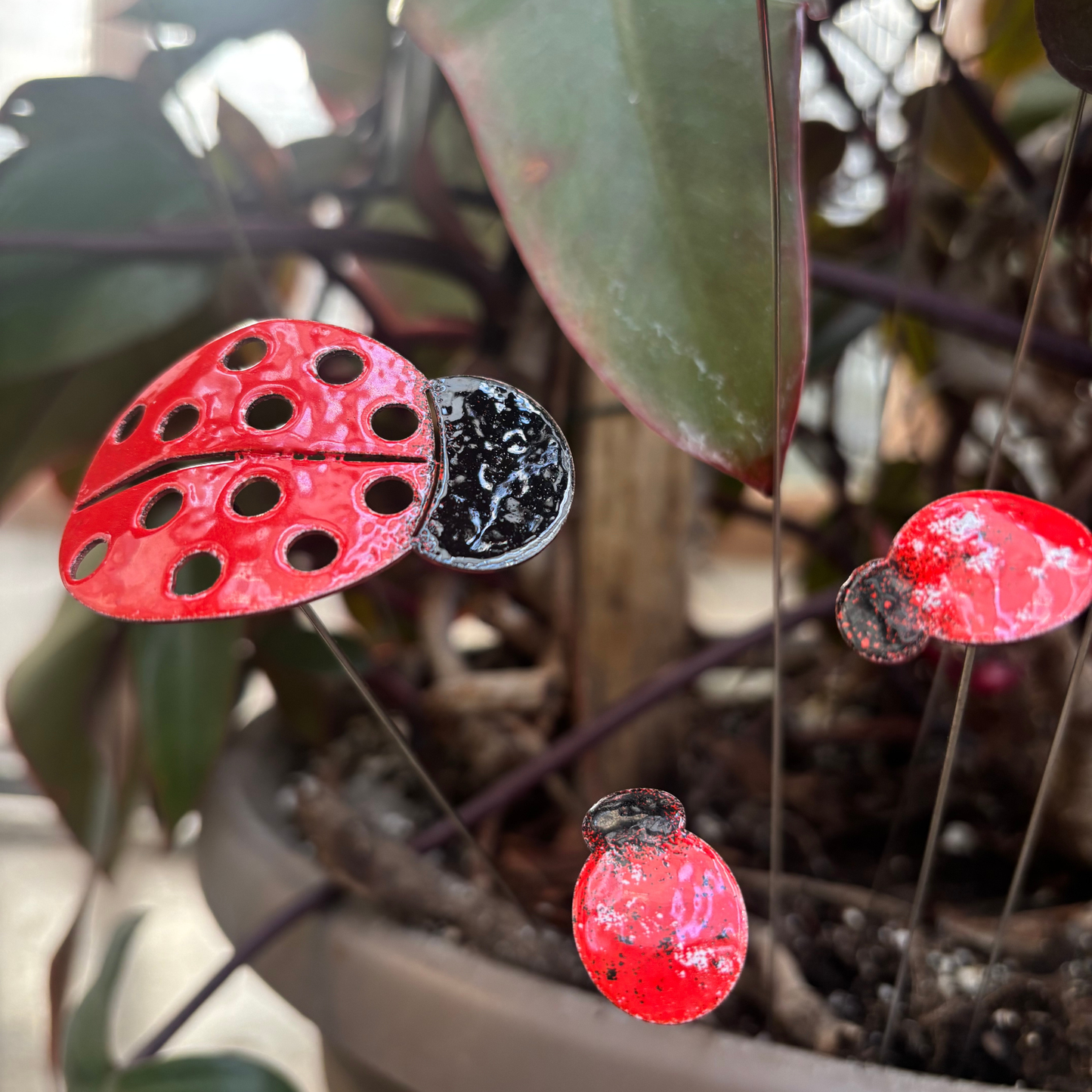 Copper Enamel Ladybug