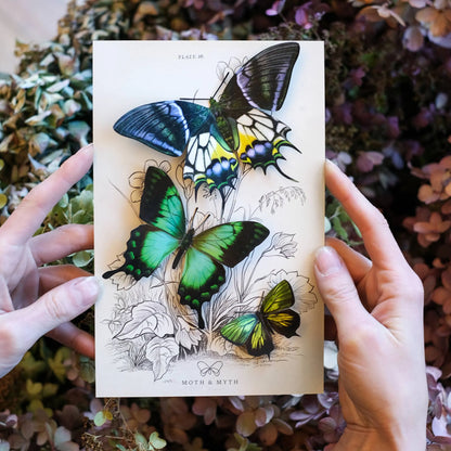 'Malachite' Butterfly 3 piece Set