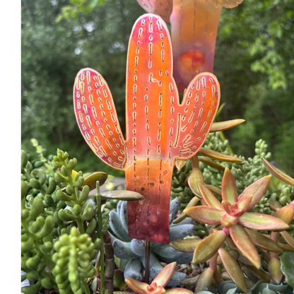 Natural Copper Lined Cactus