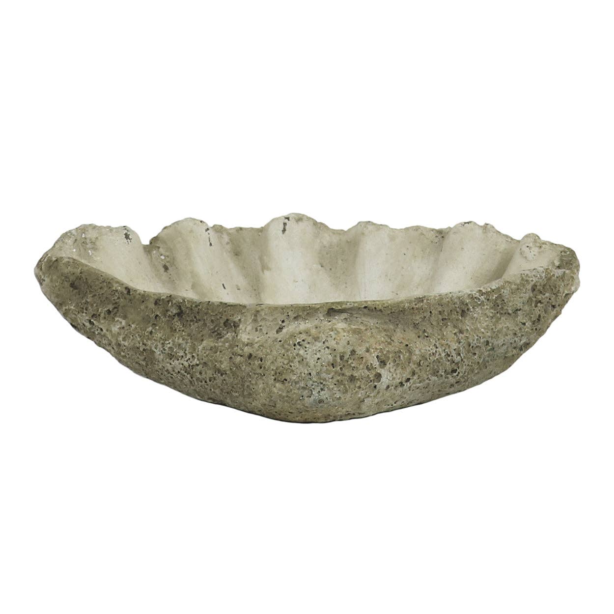 Cast Concrete Clam Shell Planter