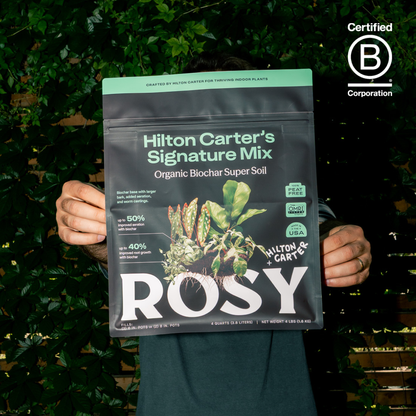 4 qt. Rosy Soil Hilton Carter's Signature Soil Mix