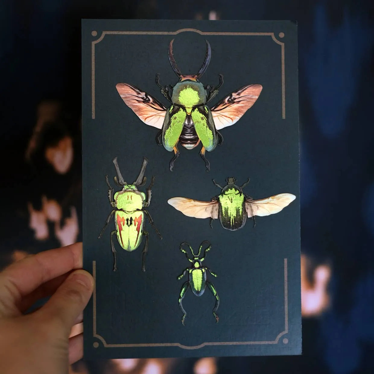 'Undergrowth' Foil-Embellished Beetle 4 piece Set