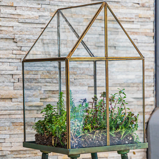 Oversized Glass and Steel Terrarium with Stand Green Patina 11 x 11 x 28