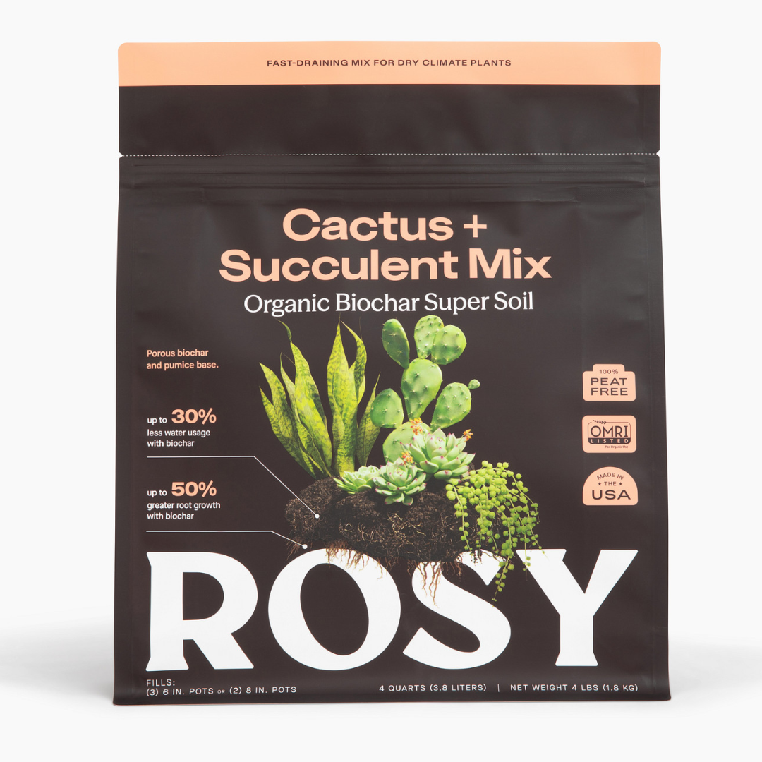 4 qt. Rosy Soil Cactus & Succulent Soil Mix