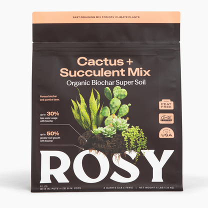 4 qt. Rosy Soil Cactus & Succulent Soil Mix