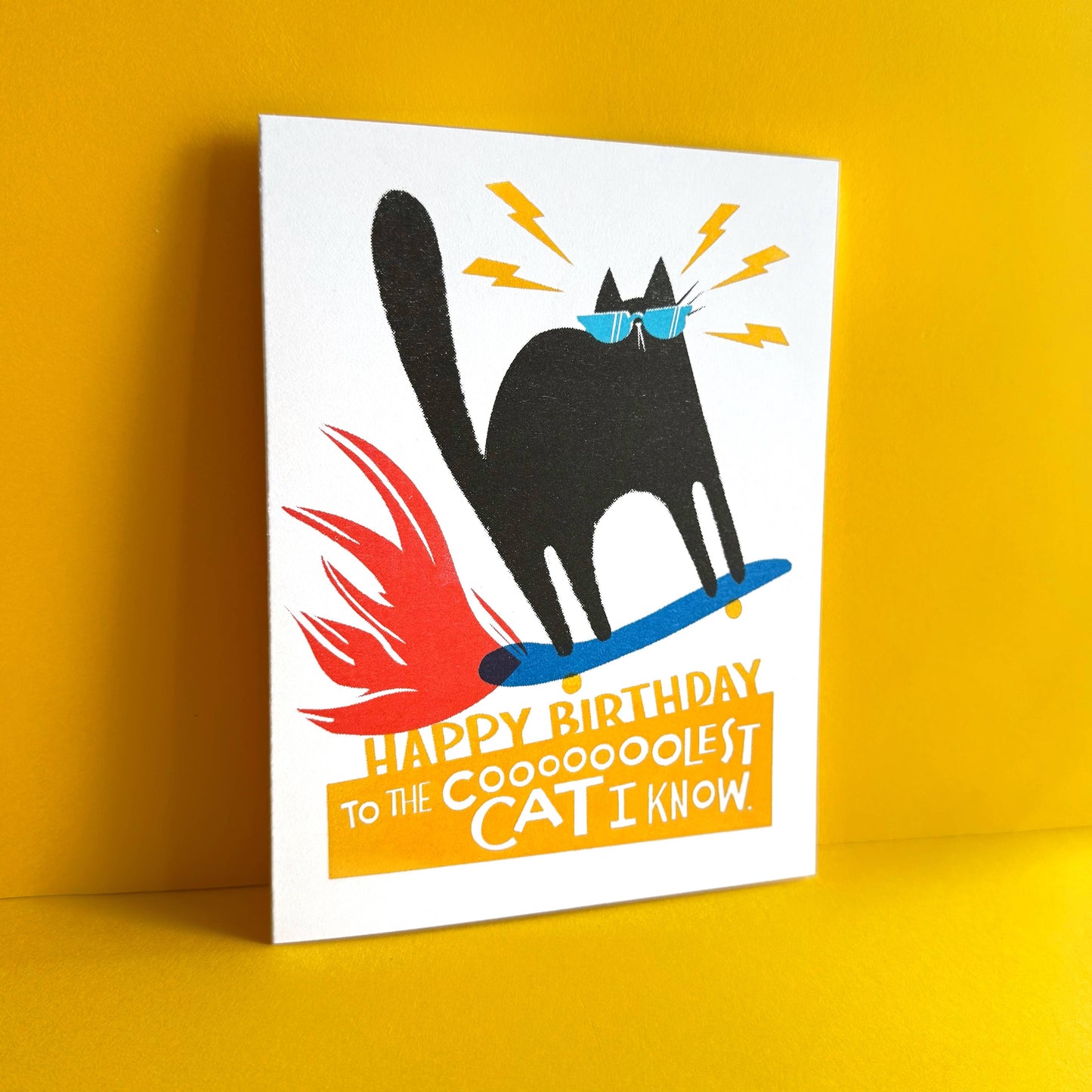 Cool Skateboard Cat Birthday Card