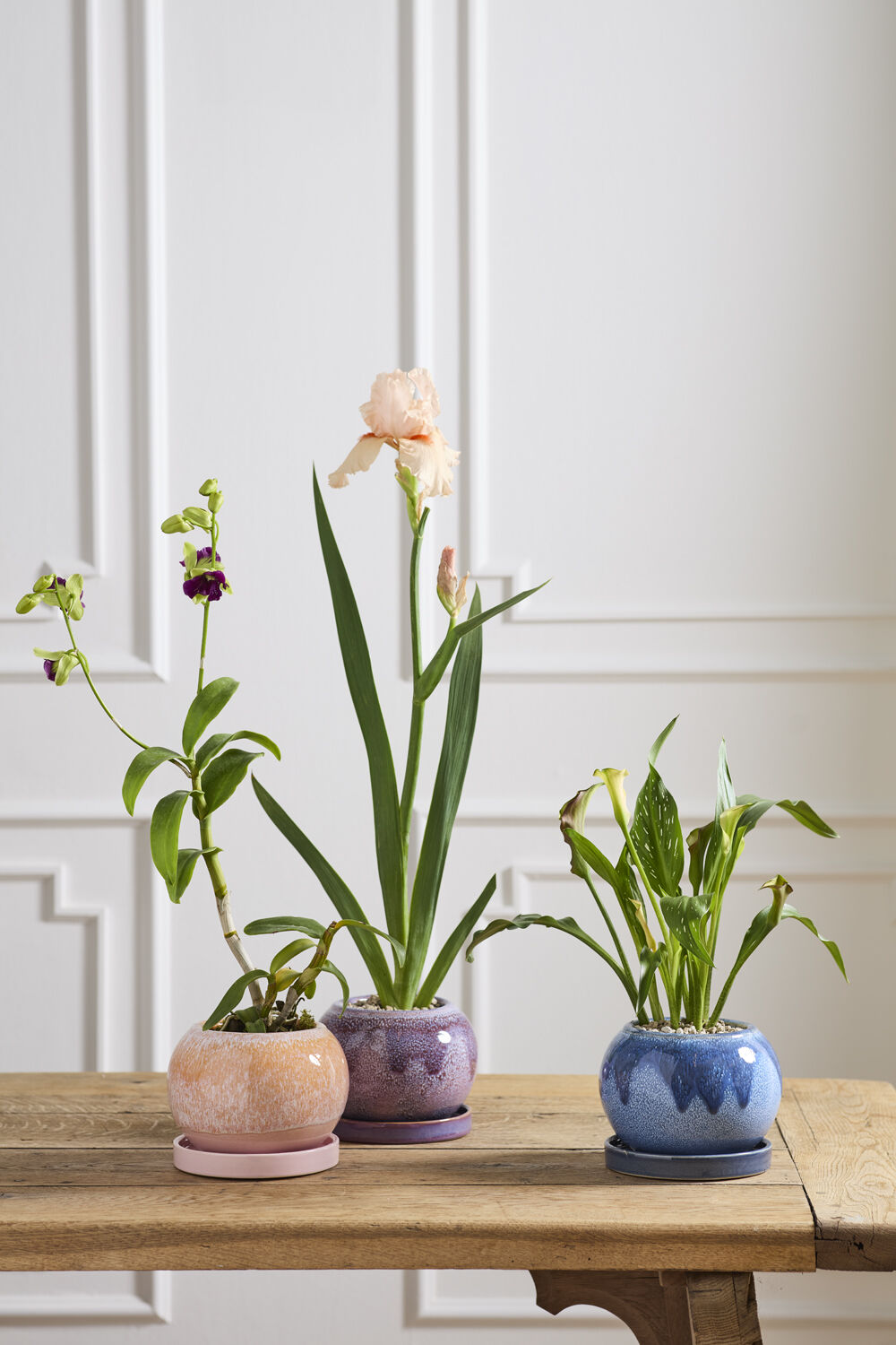 Casey Pot with Saucer