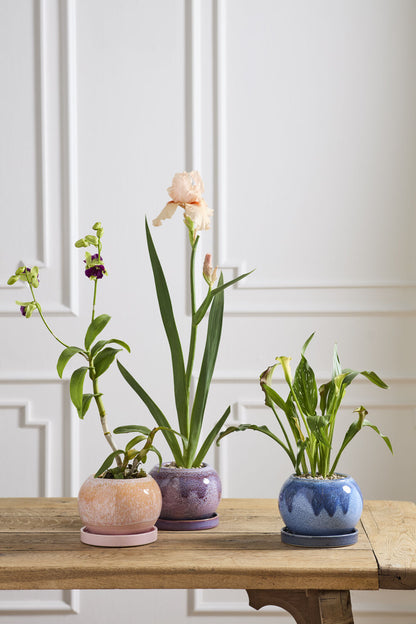 Casey Pot with Saucer