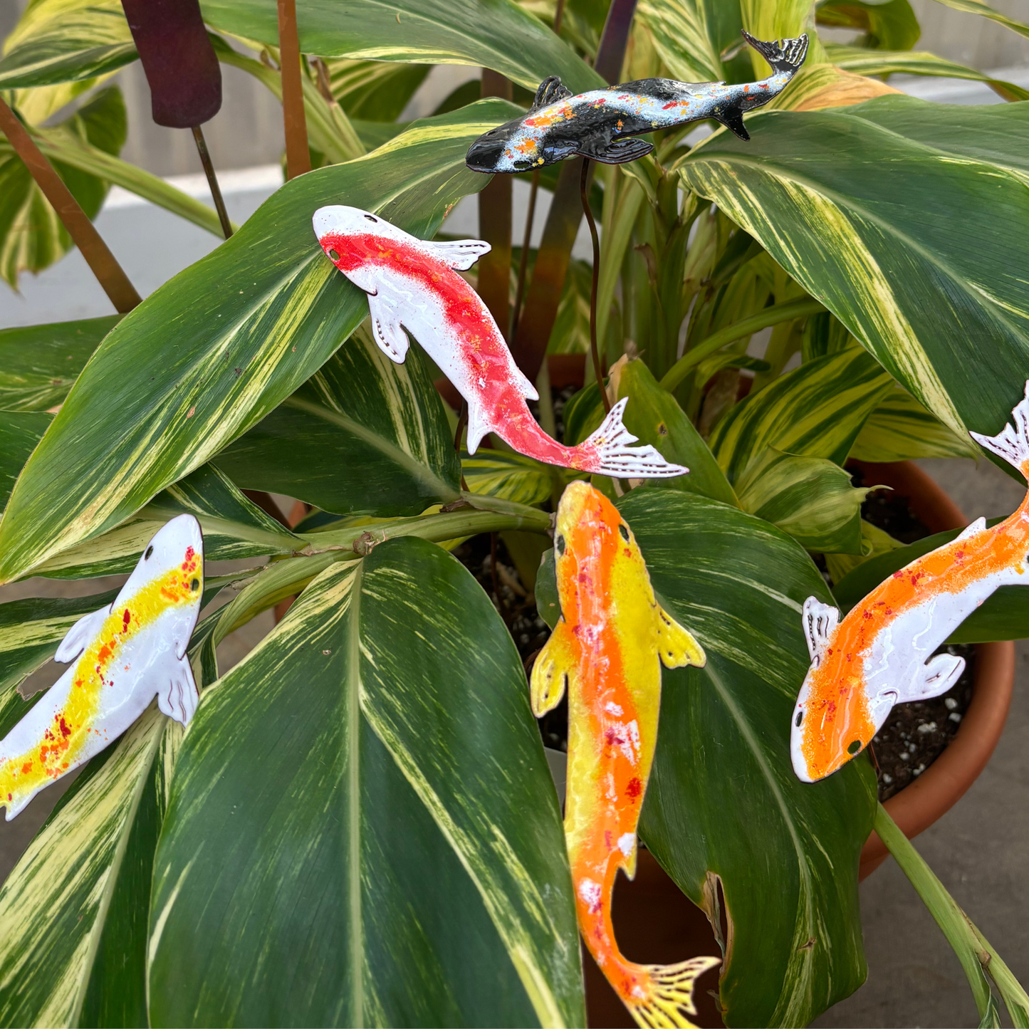Copper Enamel Koi