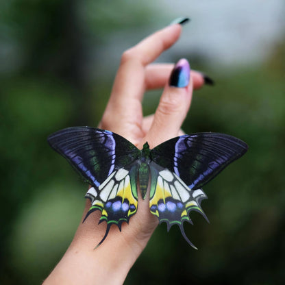 'Malachite' Butterfly 3 piece Set