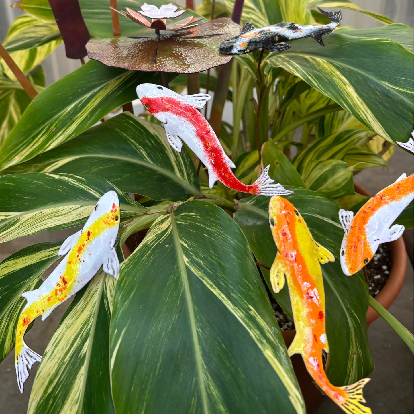 Copper Enamel Koi