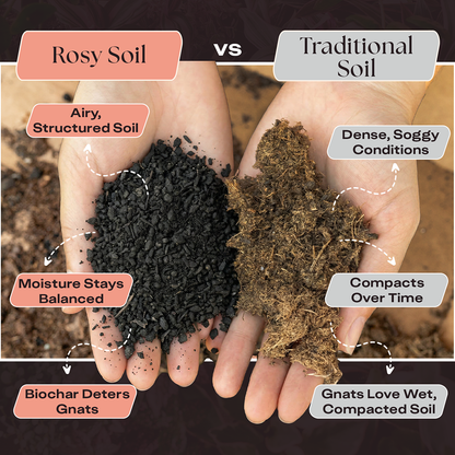 4 qt. Rosy Soil Cactus & Succulent Soil Mix