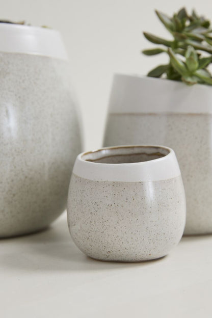 Choice Pot