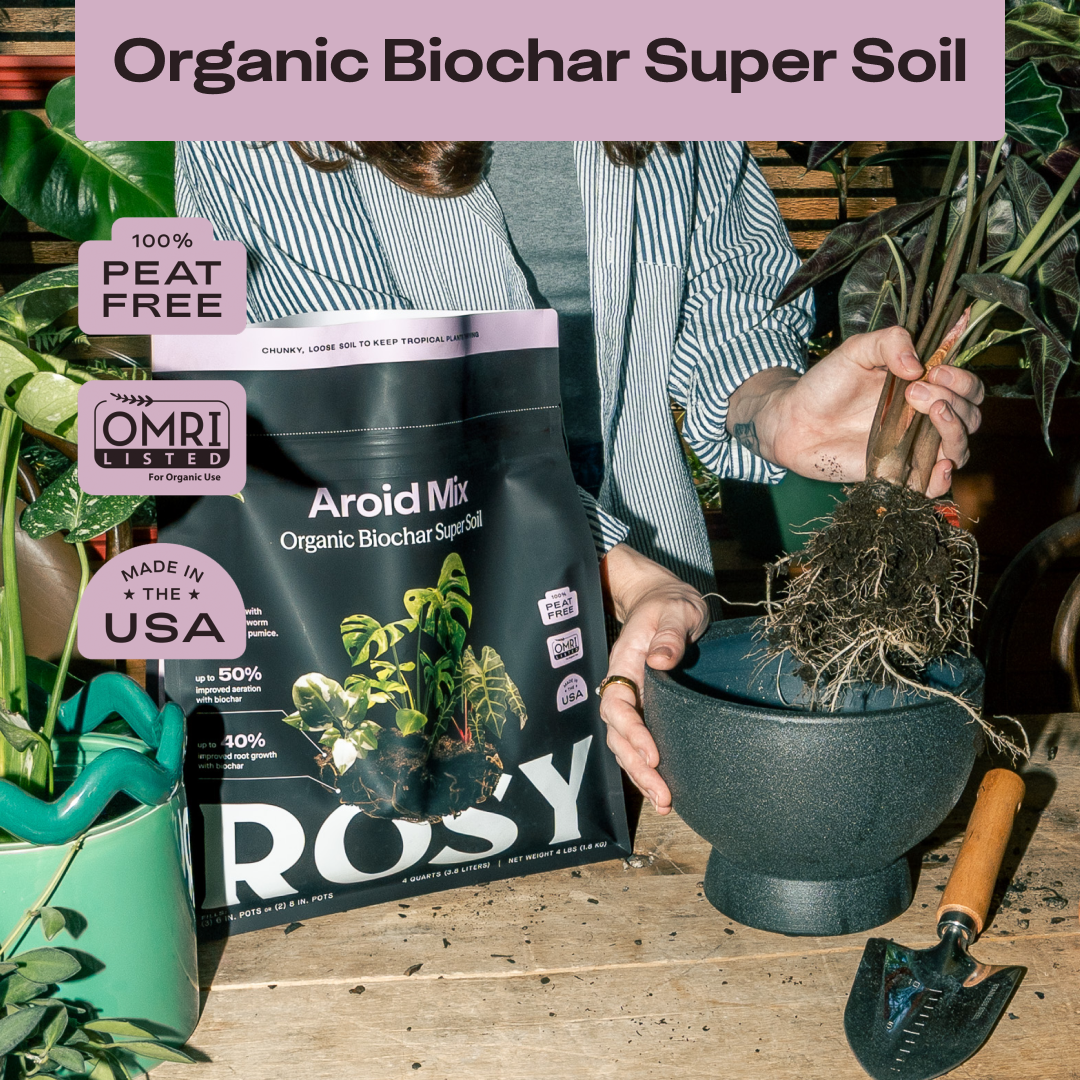 4 qt. Rosy Soil Aroid Soil Mix