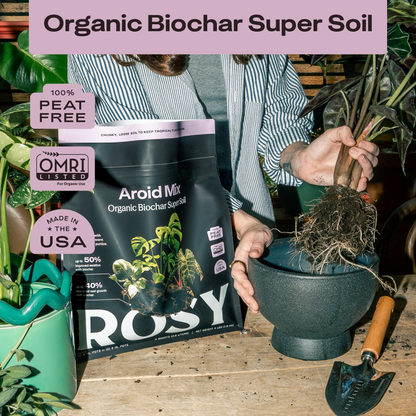 4 qt. Rosy Soil Aroid Soil Mix