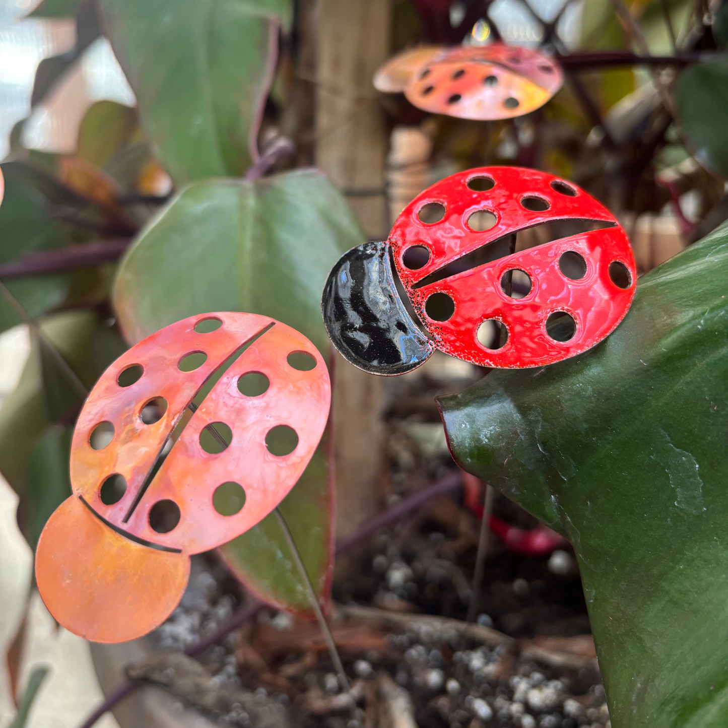 Copper Enamel Ladybug