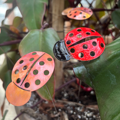 Copper Enamel Ladybug