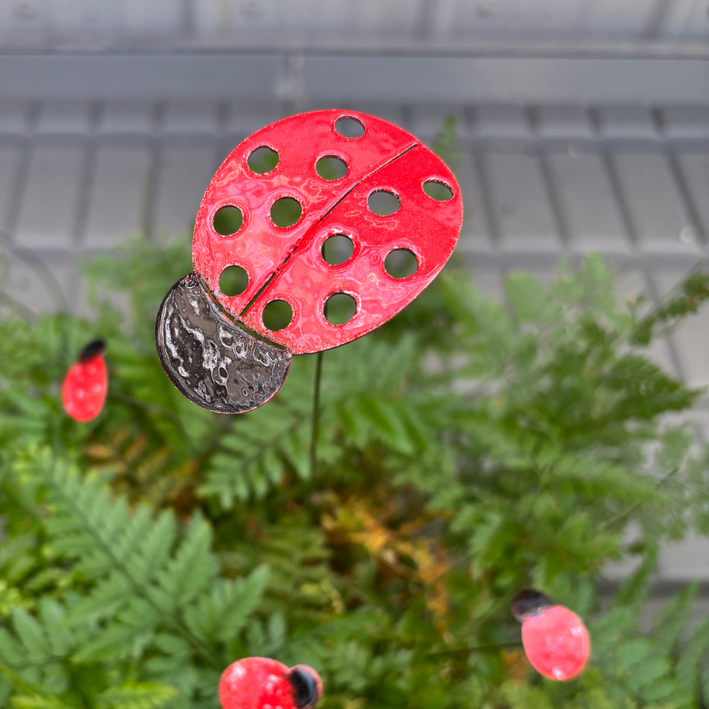 Copper Enamel Ladybug