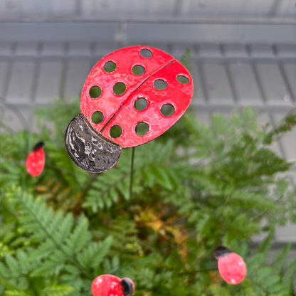 Copper Enamel Ladybug