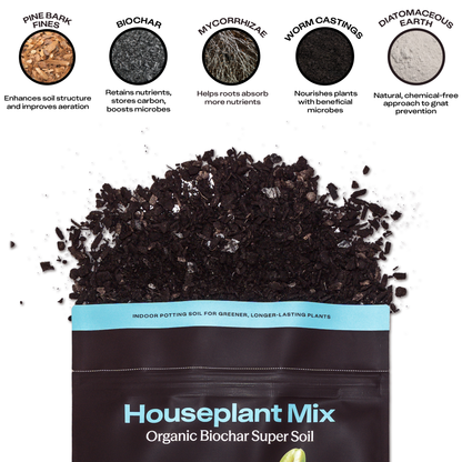 4 qt. Rosy Soil Houseplant Soil Mix