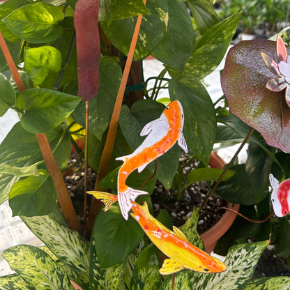 Copper Enamel Koi