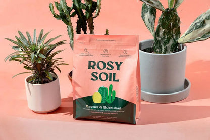 4 qt Organic Cactus & Succulent Mix
