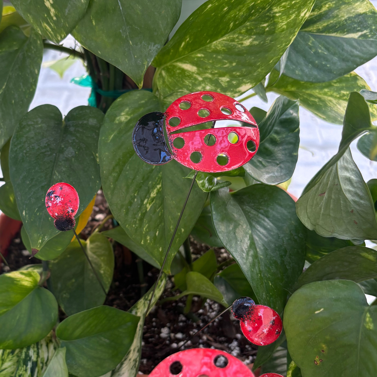 Copper Enamel Ladybug