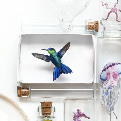 'Biophilia' Micro Specimen Collection