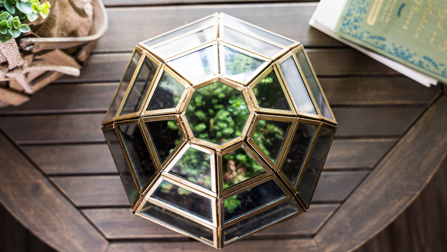 Large Birdcage Glass and Metal Terrarium 10 x 9