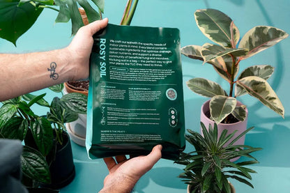4 qt Organic potting soil mix, indoor, houseplant & herbs