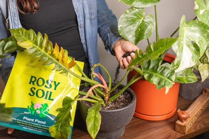 2 qt Plant Food