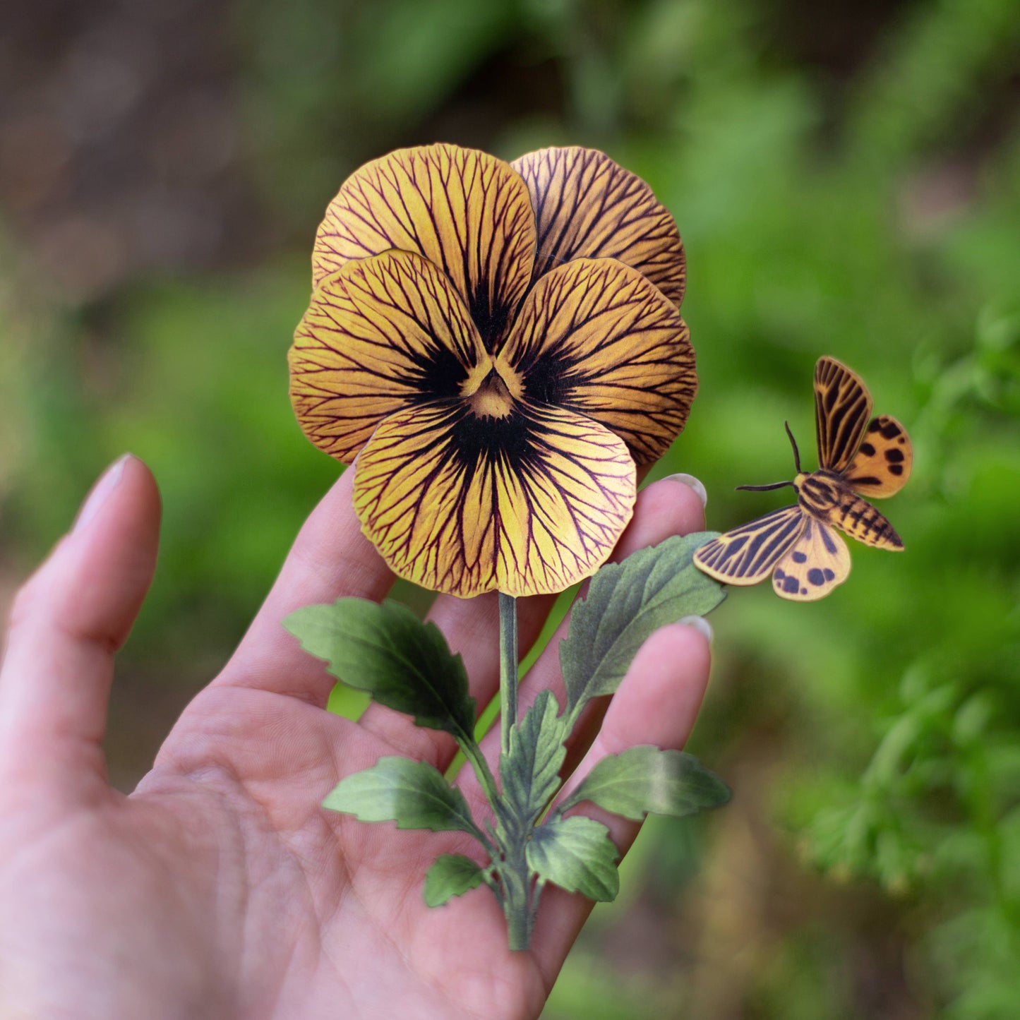 Little Virgin Tiger Moth & Tiger Eye Viola Collection - 4 Piece Set