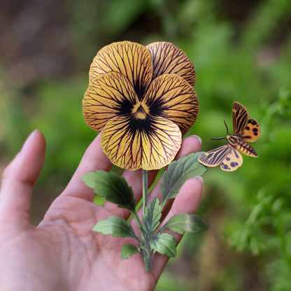 Little Virgin Tiger Moth & Tiger Eye Viola Collection - 4 Piece Set