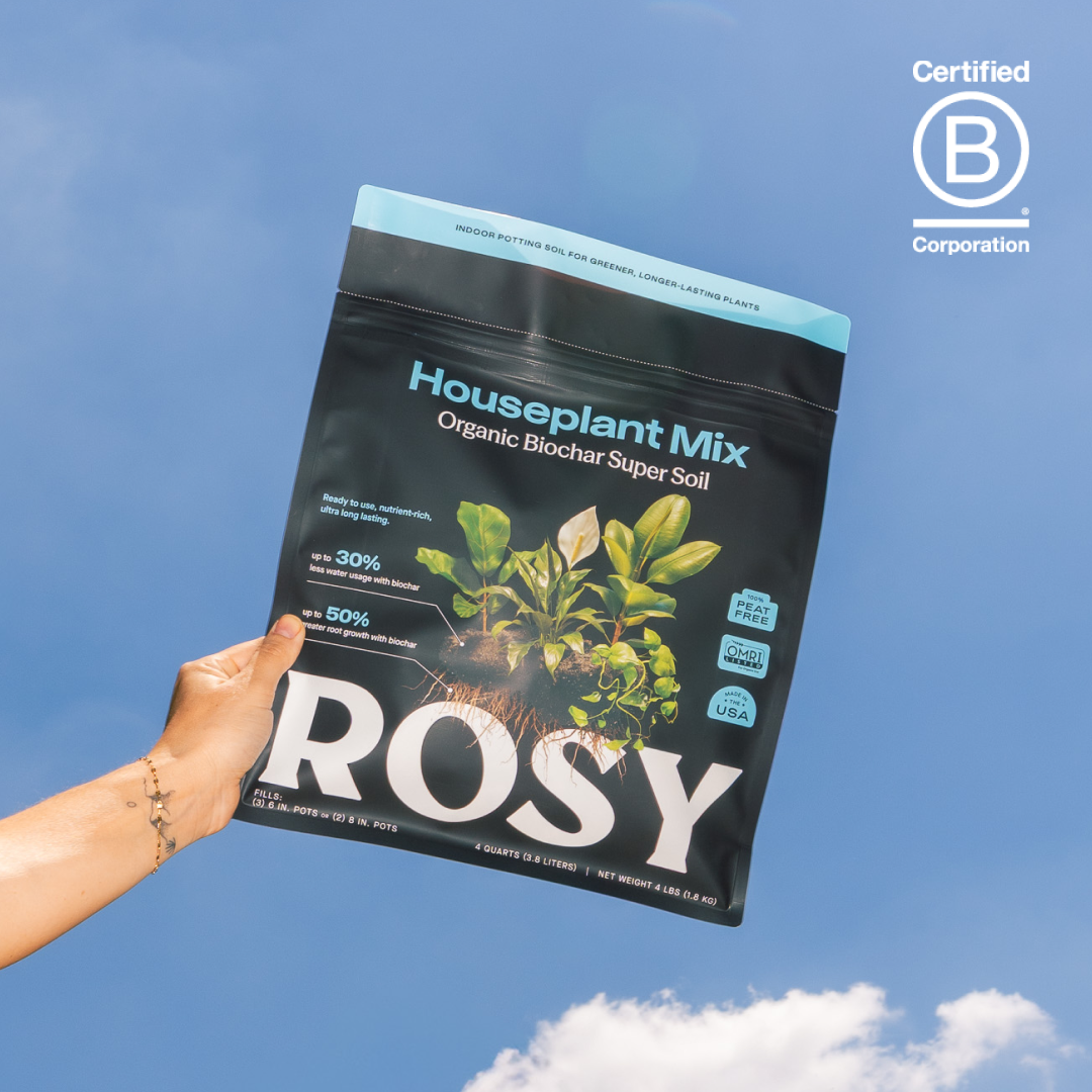 4 qt. Rosy Soil Houseplant Soil Mix