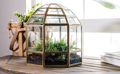 Large Birdcage Glass and Metal Terrarium 10 x 9