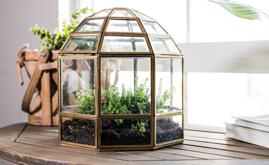 Large Birdcage Glass and Metal Terrarium 10 x 9