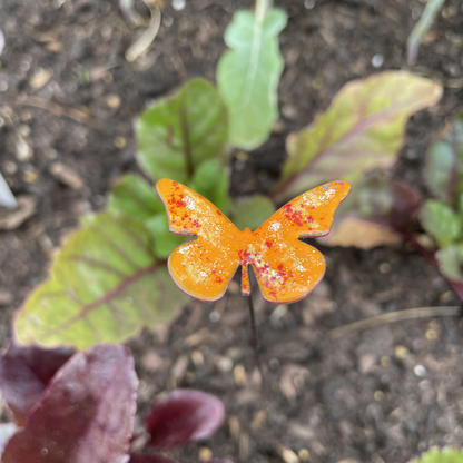 Copper Enamel Butterfly