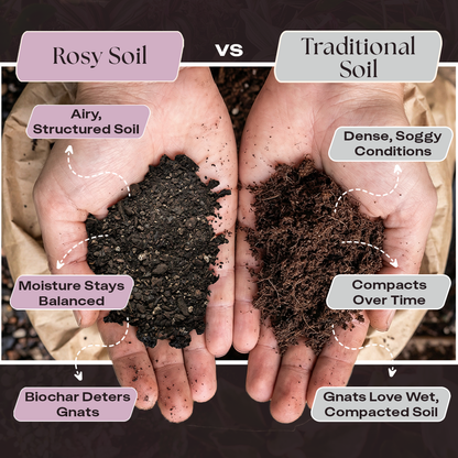 4 qt. Rosy Soil Aroid Soil Mix